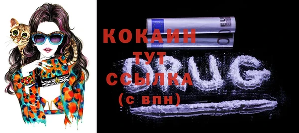 мдпв Сафоново