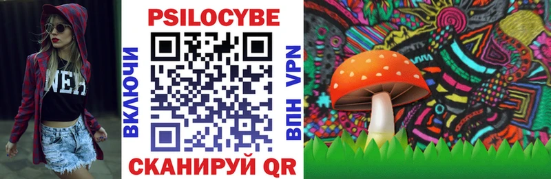 Псилоцибиновые грибы Magic Shrooms  купить наркоту  Весьегонск 
