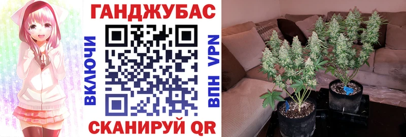 Бошки Шишки THC 21% Весьегонск